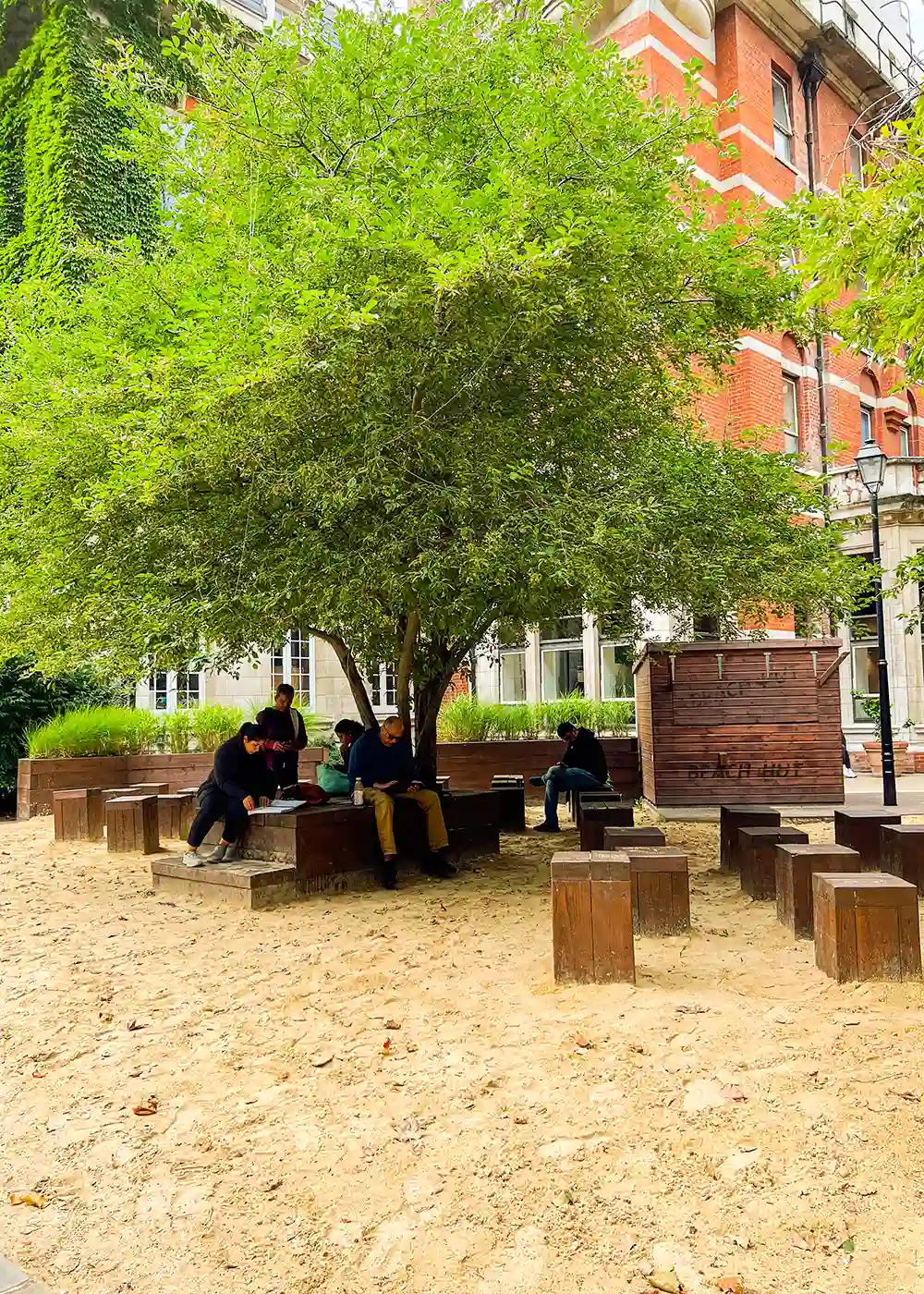 King's College London campus sandy seating area. Big tree for cover. KCLSU 2023.